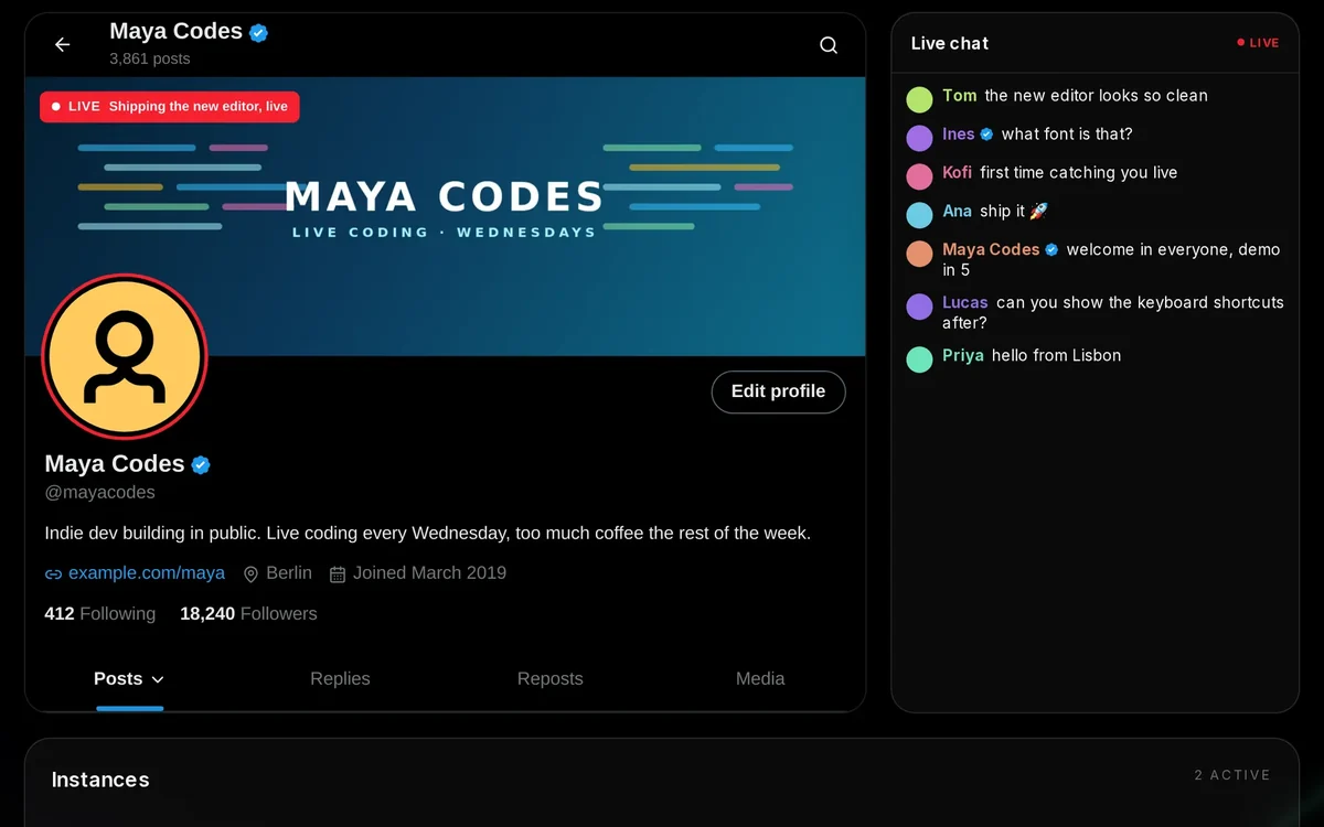 An X account live on the Socialbot dashboard: the profile with its LIVE tag and broadcast title, next to the live chat